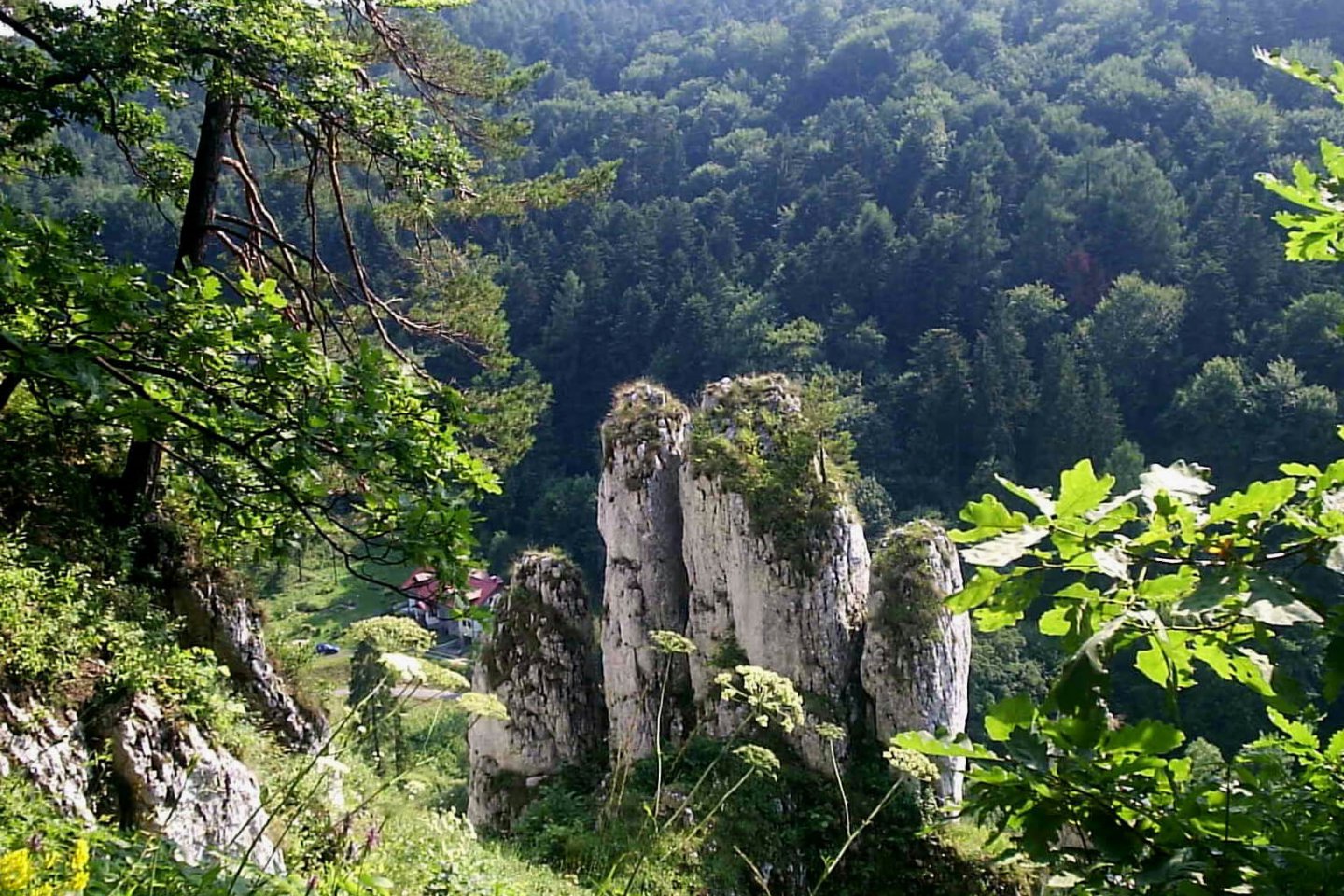 Zielona Szkoła- 5 dni Kraków- Zakopane- Bochnia